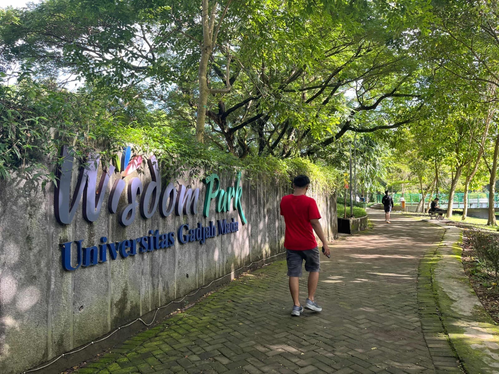Mencari Ketenangan Jiwa dengan Menjelajah Hutan Tengah Kota di Lembah Bulaksumur
