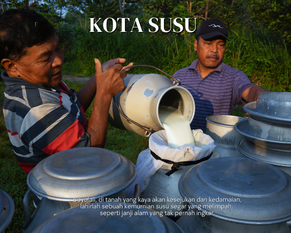 Menjelajahi Kota Produksi Susu, Boyolali
