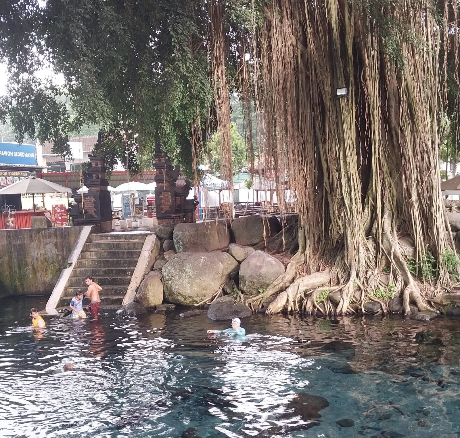 Umbul Sigedhang: The Refreshing Sensation of a Spring That Soothes Both Body and Mind